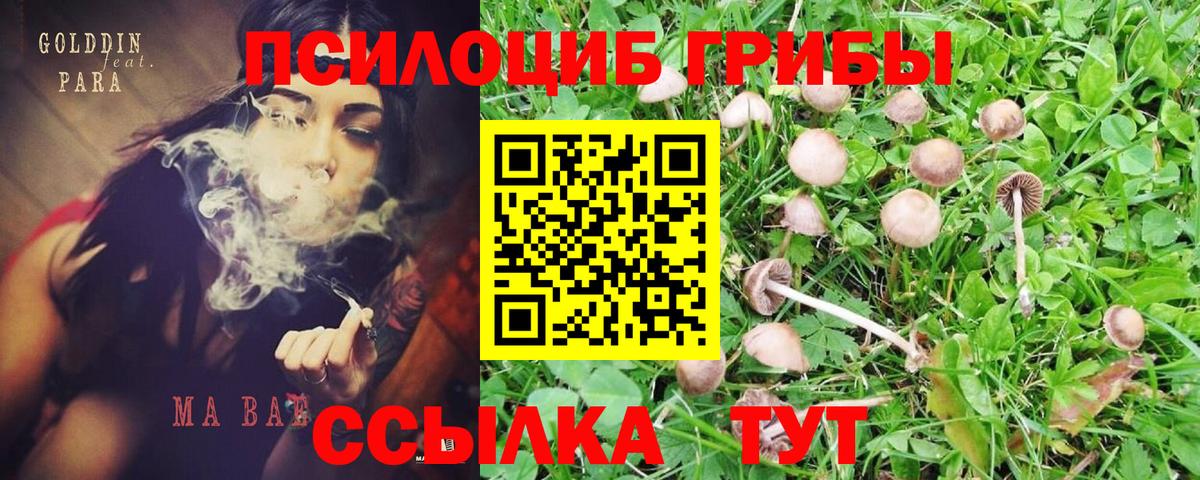 Галлюциногенные грибы мицелий  Вход с VPN  как найти наркотики  Кашира 