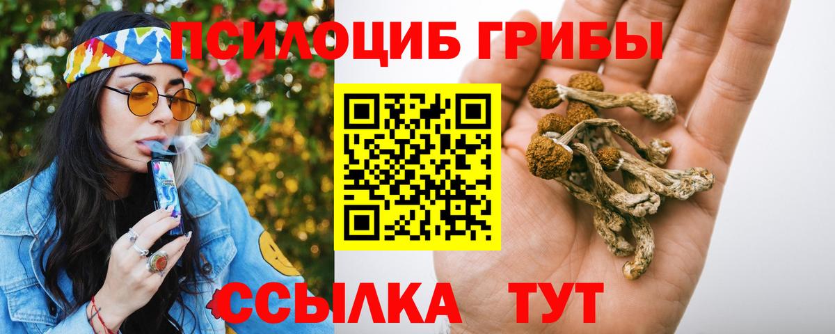 Галлюциногенные грибы прущие грибы Кашира